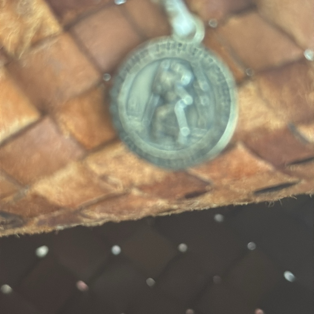 Dragon Diffusion Santa Croce Small Bag - Picture 7 of 10